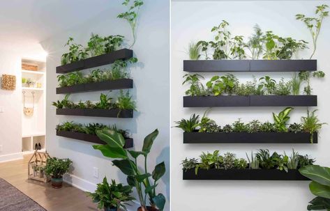 Sonja & Michelle - Drew & Jonathan Wall Greenery, Hydroponics Gardening, Indoor Plant Wall, Herb Wall, Vertical Garden Indoor, Indoor Lights, Scott Brothers, Kitchen Plants, Entry Lighting