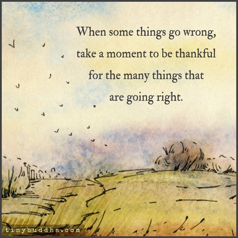 Be Thankful for the Many Things That Are Going Right - Tiny Buddha Captivating Quotes, Gratitude Day, Grateful Quotes, Being Grateful, Thankful Quotes, Diy Quotes, Tiny Buddha, Attitude Of Gratitude, Gratitude Quotes