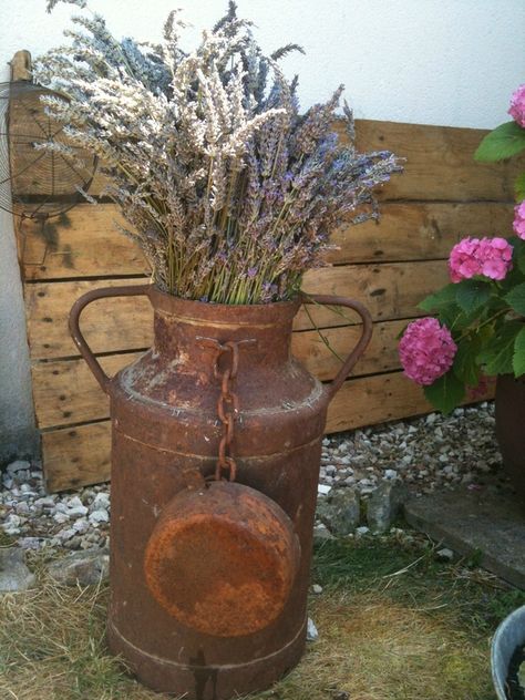 Country Life, French Country, Planter Pots, Lavender, The Outsiders, Vase