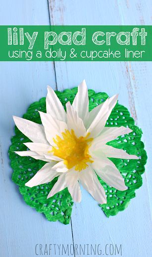 Make a Lily Pad Craft Using a Cupcake Liner & Doily - Great kids craft | CraftyMorning.com #lilycrafts #lilypadcrafts #cupcakelinercrafts #doilycrafts #kidcrafts #flowercrafts #funcrafts Lily Pad Craft, Pond Crafts, Cupcake Liner Crafts, Spring Flower Crafts, Pond Animals, Crafty Morning, Doilies Crafts, Frog Theme, Frog Crafts