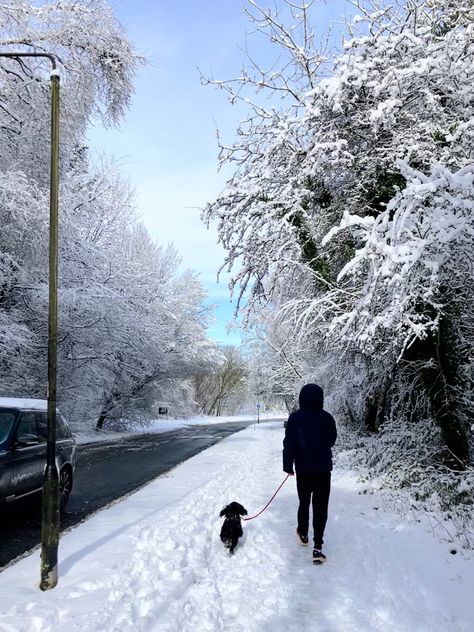 Snow Dog Aesthetic, Winter Dog Walk Aesthetic, Winter Dog Aesthetic, Walking In Snow Aesthetic, Snow Vibes, Christmas Setup, Walk Dog, Winter Walking, 2024 Goals