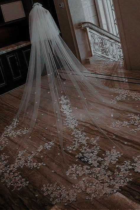 Wedding Veils With Hair Down, Gaun Koktail, Lace Cathedral Veil, Bridal Veils And Headpieces, Cathedral Bridal Veils, Cathedral Wedding Veils, Tulle Veil, Mother Wedding, Wedding Bridal Veils