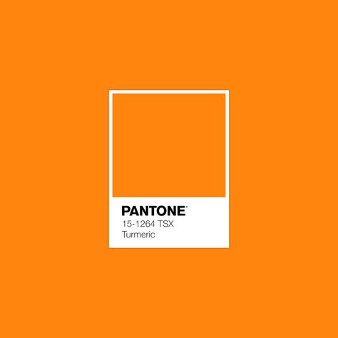 Orange Pantone, Pantone Orange, Color Library, Pantone Swatches, Color Pantone, Fashion Textiles, Pantone Colour Palettes, Color Meanings, Idea Design