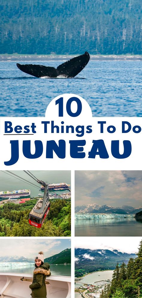 Pictures of things to do in Juneau Alaska like whale watching, glaciers, and the golden tram. Things To Do In Juneau Alaska, Tongass National Forest, Alaska Trip, Juneau Alaska, Exotic Beaches, Helicopter Ride, Alaskan Cruise, Forest View, Holland America