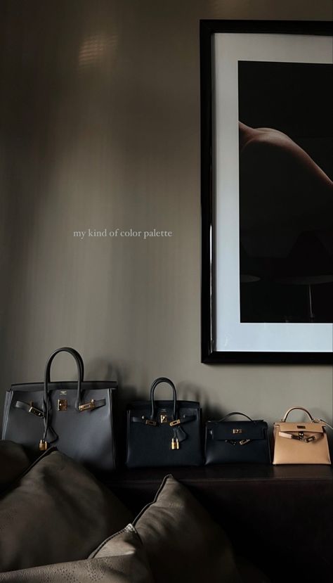 Birkin Bag Hermes, Lady A, Life Vision Board, Luxury Aesthetic, Future Lifestyle, Money And Happiness, Rich Kids, Dream Apartment, Essential Bag