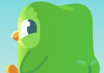 Funny Duolingo Pfp, Duolingo Widget, Duolingo Pfp, Duolingo Wallpaper, Duolingo Icon, Duolingo Fanart, Fangirl Book, Widget Icon, Small Pictures