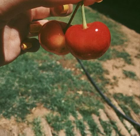 Pretty Stars, Terrence Loves You, You My Love, Fotografi Vintage, Summer Wines, Lust For Life, Vintage Americana, Summer Dream, 인물 사진