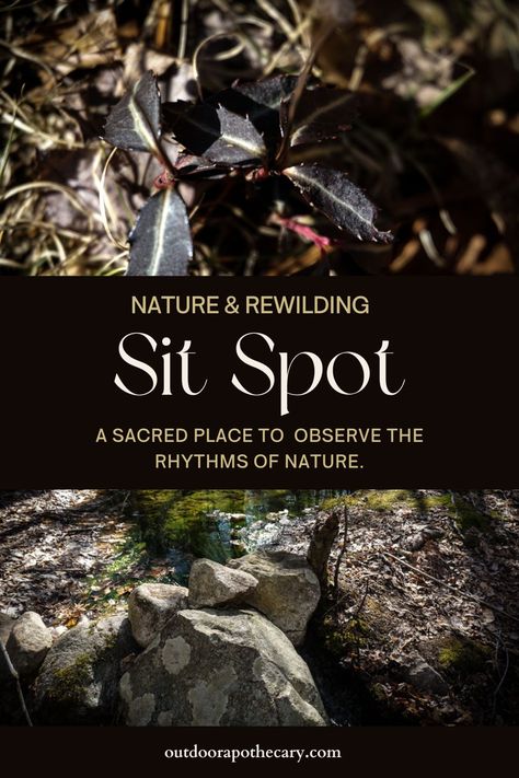 Nature Connection, Sit Spots, Horticulture Therapy, Shamanic Healing, Nature Sketch, Forest Bathing, Earthy Scent, Forest School, Sacred Places