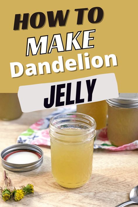 Do you think those dandelions growing in your yard are just weeds? Think again! Dandelions actually are very tasty! Learn how you can take dandelions from your garden and make dandelion jelly! How To Harvest Dandelion, Harvesting Dandelion, Clover Jelly, Dandelion Jelly Recipe, Dandelion Uses, Flowers Recipes, Easy Canning, Edible Flowers Recipes, Crunchy Mama