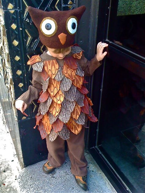 My preschooler insisted for weeks that he only wanted to be himself for Halloween, so when he decided an owl costume might be acceptable, I ran with it. The hat is constructed from a felted sweater, with felt eyes and pupil buttons purchased at the flea market in Woodstock, NY. The bodice is an Old Navy tunic covered in "feathers" made from upholstery remnants. The pants are fleece. And the boy is mine. Toddler Owl Costume Diy, Toddler Owl Costume, Diy Owl Costume, Owl Costume Kids, Owl Costume Diy, Owl Halloween Costumes, Fancy Dress Costumes Kids, Halloween Fits, Felt Eyes