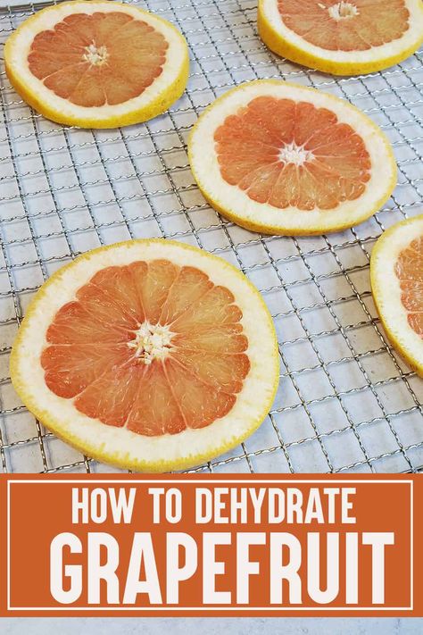 Ronco Dehydrator Recipes, Grapefruit Decoration, Dehydrated Grapefruit, Jerky Seasoning Recipe, Dehydrating Fruit, Water Flavoring, Dehydrated Recipes, Dehydrating Recipes, Dehydrating Food Storage