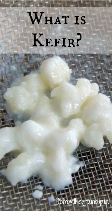 What is Kefir? - lifefromthegroundup.us What Is Kefir, Milk Kefir Recipes, Probiotic Recipes, Fermenting Foods, Kefir Starter, Kefir Drink, Kefir Milk, Kefir Benefits, Milk Kefir Grains