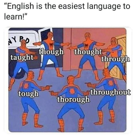 English Teacher Memes, English Language Jokes, English Teacher Humor, Language Jokes, Classroom Memes, Class Memes, Teaching Humor, Studying Memes, English Jokes