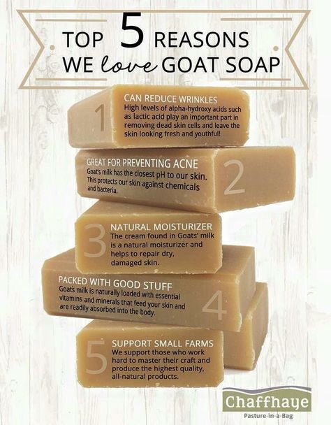 Goat Milk Soap Benefits, Soap Making For Beginners, Goat Milk Soap Recipe, Milk Soap Recipe, Soap Benefits, Goat Milk Recipes, Goat Soap, Easy Soap Recipes, Diy Soap Recipe