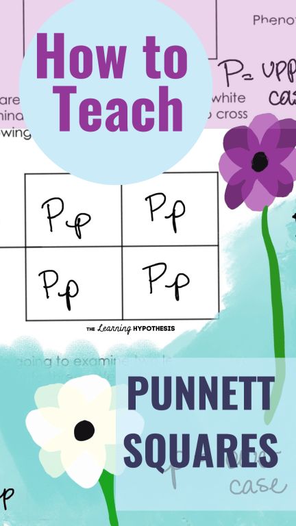 Punnett Square Activity, Unschooling Resources, Genetics Activities, Biology For Kids, Biology Activity, Educational Websites For Kids, Punnett Squares, Learning Stations, Biology Lessons