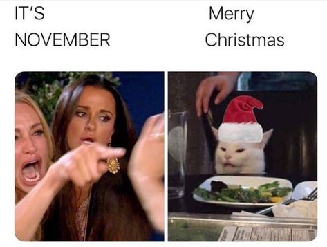 woman yelling at a cat meme where Taylor Armstrong is yelling 'it's november' and smudge the cat is wearing a christmas hat and meowing 'merry christmas' Funny Merry Christmas Memes, Merry Christmas Meme, Christmas Memes Funny, November Christmas, Christmas Memes, Merry Christmas Funny, And So It Begins, Cat Meme, Memes Humor