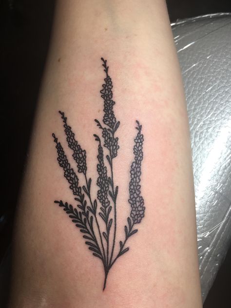 Brand new heather tattoo! So happy with how it turned out. Heather Plant Tattoo, Heather Tattoo Flower, Heather Scotland, Heathers Tattoo, Heather Flower Tattoo, Heather Tattoos, Heather Tattoo, Cheap Tattoos, Heather Flower