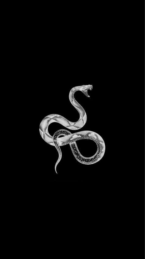 Snake Wallpaper Aesthetic, Snake Wallpaper, Dark Background, Black Wallpaper, Wallpaper Aesthetic, Black Background, Wattpad, Black And White, White