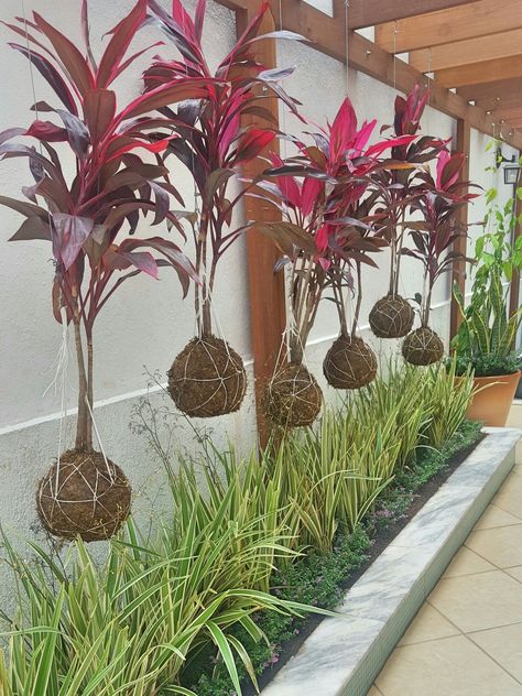 String Garden, Fence Plants, نباتات منزلية, Gravel Garden, Backyard Fences, Hanging Garden, Garden Fencing, Foliage Plants, Garden Fence