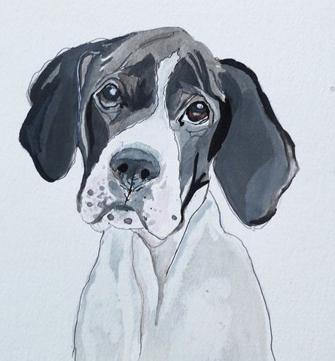 Pointer Painting, English Pointer Dog, Painted Dogs, English Pointer, German Shorthair, Pointer Dog, Animal Portraits, Easy Watercolor, Dog Drawing