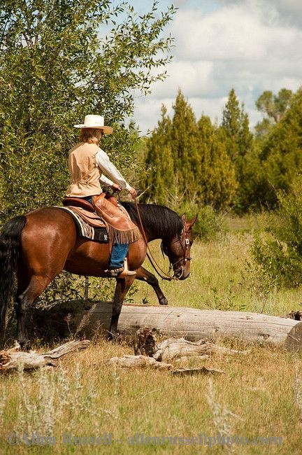 . Grooming Horse, Riding Ideas, Lottery Winning, Trail Riding Horses, Horse Trails, Horse Nutrition, Trail Horse, Horse Behavior, Photography Horse