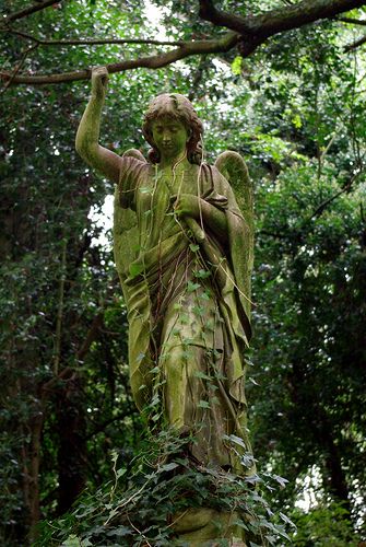 Cemetery Angels, Highgate Cemetery, Cemetery Statues, Angel Statue, Old Cemeteries, Cemetery Art, Angel Statues, Foto Art, Sculptures & Statues