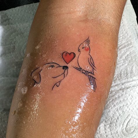 ALAN TATTOO (@alantatto) • Instagram photos and videos Parrot Tattoo, Cardinal Tattoos, Sisters Tattoo, Meaningful Tattoo Quotes, Rune Tattoo, Bff Tattoos, Elegant Tattoos, Dog Tattoo, Simplistic Tattoos