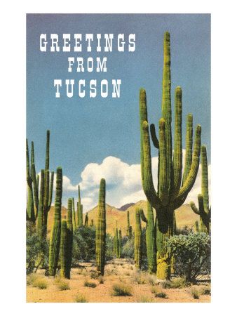 hello Southwestern Gothic, Cactus Country, Southwest Sunset, Arizona Art, Arizona Adventure, Southern Arizona, Desert Living, American Frontier, Wilde Westen