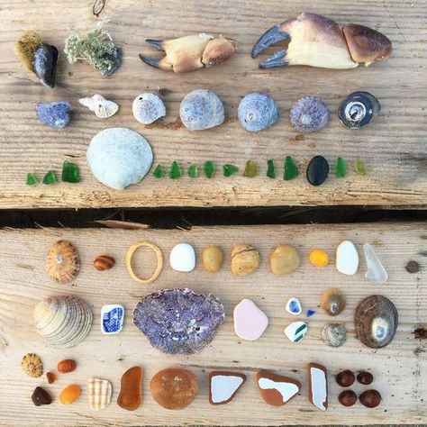 RamonaMaywoodStudio on Instagram: "This is part of my haul from today. Managed a couple of gentle walks along the beach and had fun arranging my treasures. 💙 #beachcombing #beachcombingfinds #beachcombingaddict #beachcombingtreasures #beachfinds #beachtreasures #beachlover #beachlife #treasuretrove #foundonthebeach #flatlay #onthebeach #seaglass #shells #shellyeah #seapottery #seapotterybits #marazionbeach #marazion #cornishbeach #cornwall #cornwalllife #cornwallcoast #cornwallbeach #kernowlife Beachcombing Finds, Cornish Coast, Cornish Beaches, Cornwall Coast, Cornwall Beaches, Shell Beach, Sea Pottery, Beach Combing, Beach Lovers