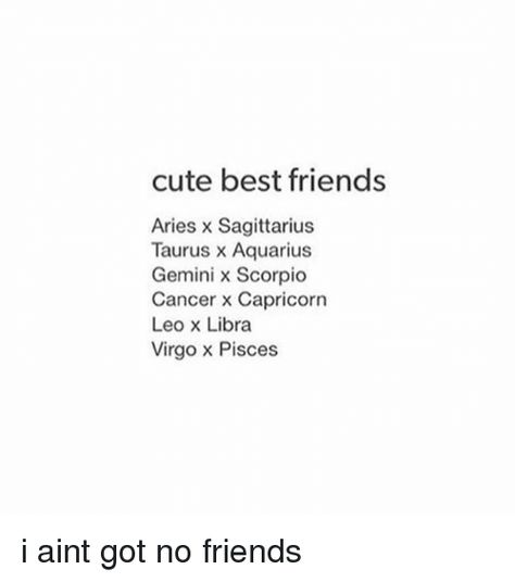 Aries X Sagittarius, Virgo X Pisces, Gemini X Scorpio, Gemini And Scorpio Friendship, Aries And Sagittarius Friendship, Pisces And Virgo Friendship, Scorpio Friendship, Virgo Friendship, Leo And Libra Friendship