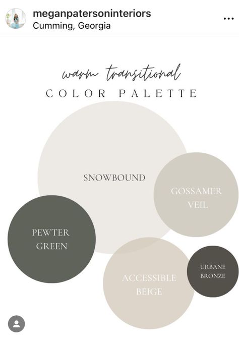 Full Home Color Palette, Modern Cottage Color Palette, Whole House Color Palette 2024, Modern Organic Color Palette, Moody Transitional, Color Palette 2024, Whole House Color Palette, Moody House, House Color Palette