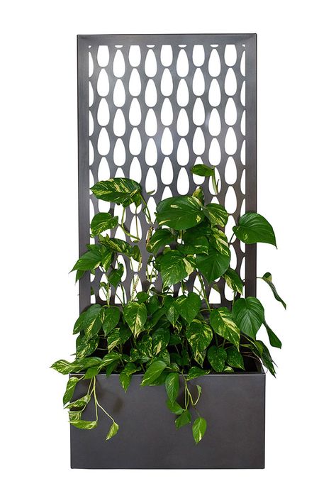 Large Screen Planters – Lump Sculpture Studio Free Standing Privacy Screen, Garden Divider, Architectural Planters, Garden Dividers, Metal Garden Screens, Metal Sheet Design, Privacy Screening, Garden Screen, Wall Mounted Planters