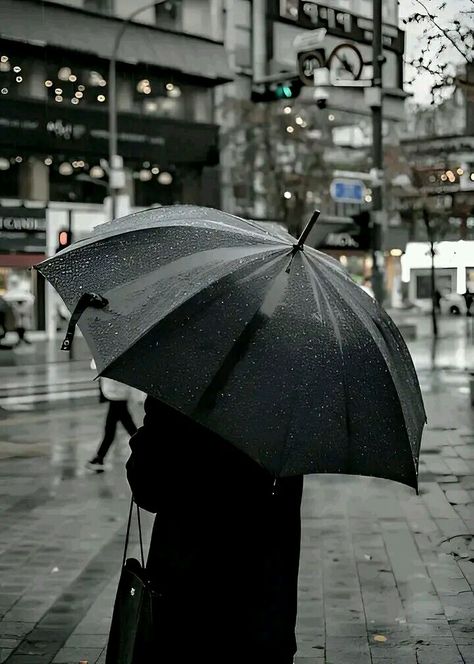 Umbrella Girl Aesthetic, Black Umbrella Aesthetic, Umbrella Aesthetic, Girl In Rain, Umbrella Photo, Umbrella Girl, White Umbrella, Night Moves, Black Umbrella