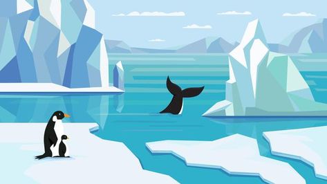 Antarctica Drawing, Antarctica Illustration, Arctic Illustration, Sloth Logo, Sea Murals, Landscape Vector Illustration, Bird Doodle, Photographer Design, Penguin Illustration