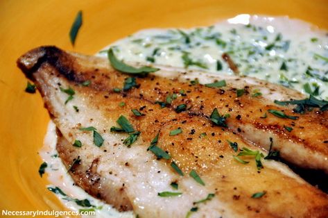 Pompano with Tarragon Cream Sauce Fish With Cream Sauce, Pompano Fish Recipe, Pompano Recipe, Tarragon Cream Sauce, Tarragon Recipes, Beef Tips, Sea Food, African Food, Fish Dishes