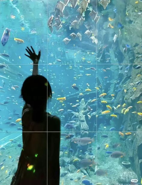 Aquarium Photos, Aquarium Pictures, Ocean Room, Japan Itinerary, Water Aesthetic, The Aquarium, Japan Aesthetic, Pose Reference Photo, Drawing Reference Poses