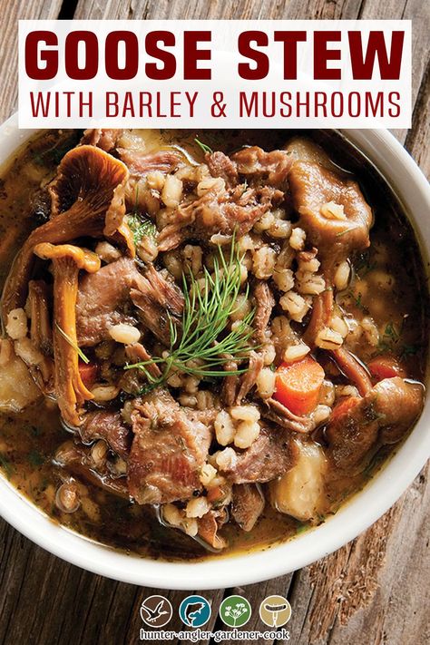 Snow Goose Recipes, Geese Recipes, Goose Stew, Stew With Barley, Goose Breast Recipe, Wrangel Island, Stew With Mushrooms, Goose Recipes, Hearty Stew