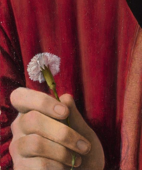 Portrait of A Man with A Pink Carnation by Andrea Solario,1495 Lucas Cranach, Pieter Bruegel, Sandro Botticelli, Albrecht Dürer, Hieronymus Bosch, Pink Carnations, Aesthetic Red, Favorite Flower, Art History