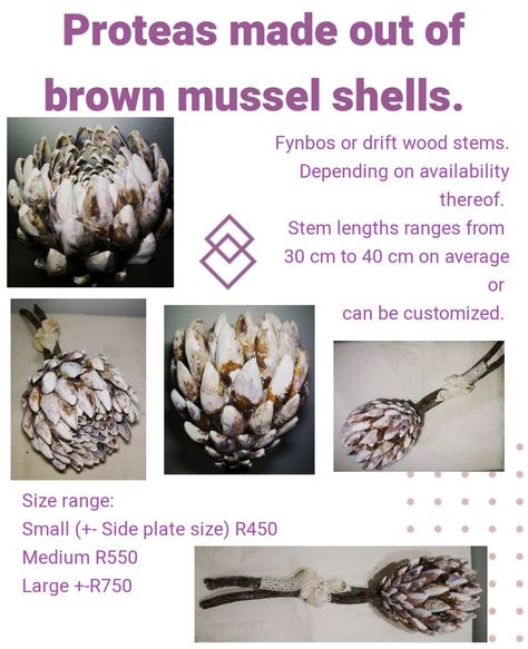 Seashell Flowers, Seashell Art Diy, Seashell Projects, Designer Decor, Mussel Shell, Drift Wood, Seashell Art, Side Plates, Plate Size