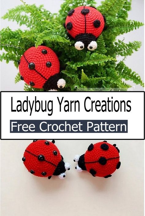 Crochet Ladybug Pattern Crochet Ladybug Pattern Free, Crochet Love Bug, Crochet Ladybird, Kindness Crochet, Ladybug Crochet Pattern, Ladybug Crochet, Cat Bed Pattern, Crochet Ladybug, Ladybug Pattern