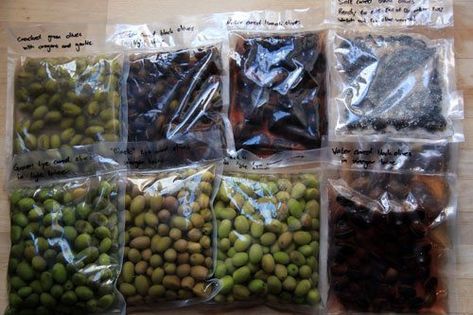 On Saturday November 10, my sleep deprived friend chef John Regefalk and I stole liberated olives from the trees in front of San Gregorio near the Circus Maximus. In all, we harvested more than 6kg (13 lbs) of olives, to which Curing Olives, Urban Foraging, Fermented Kimchi, Fruit Aesthetic, Marinated Olives, In A Pickle, San Gregorio, Chef John, Sleep Deprived