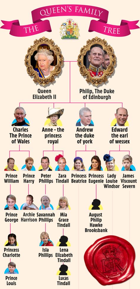 Princess Beatrice reveals she’s PREGNANT on Harry & Meghan’s anniversary – 3 years after announcement at Eugenie wedding Heavily Pregnant, Royal Family Trees, Line Of Succession, Rainha Elizabeth Ii, Mike Tindall, Baby News, Lady Louise Windsor, Elisabeth Ii, Princess Beatrice