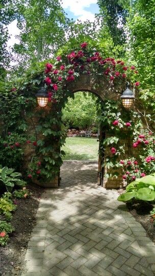 Archway Garden Entrance, Flower Arches Garden, Garden Gate With Arch, Arch Garden Entrance, Arch In Garden, Flower Arch Garden, Arched Garden Gate, Secret Garden Entrance, Arch Ways