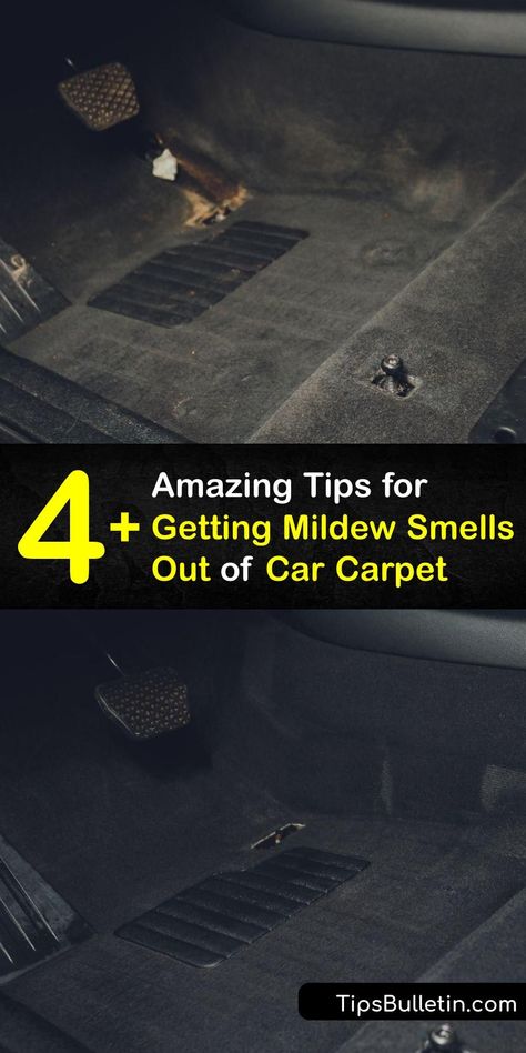 Mold spores create mildew odor and leave you needing a car odor eliminator. Make a white vinegar deodorizer or try carpet cleaning to get rid of a moldy or musty smell from your car. #get #mildew #smell #out #car #carpet Car Deodorizer, Car Odor Eliminator, Mold Smell, Diy Car Cleaning, Cleaning Car Upholstery, Nissan Truck, Smell Remover, Carpet Smell, Vinegar And Baking Soda