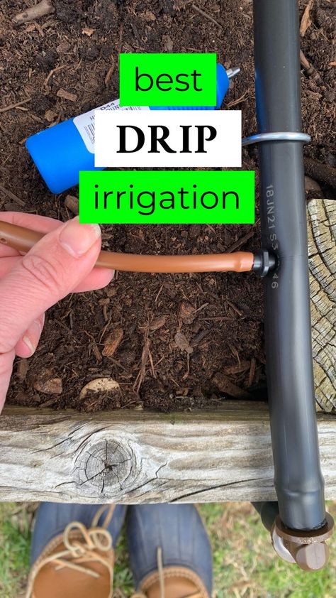 Upgrade your gardening game with precision watering with my favorite drip irrigation system! 💦 Drip Watering System, Best Drip, Garden Watering System, Drip Irrigation Kit, Water Irrigation, Drip System, Drip Irrigation System, Drip Irrigation, Small Garden Design