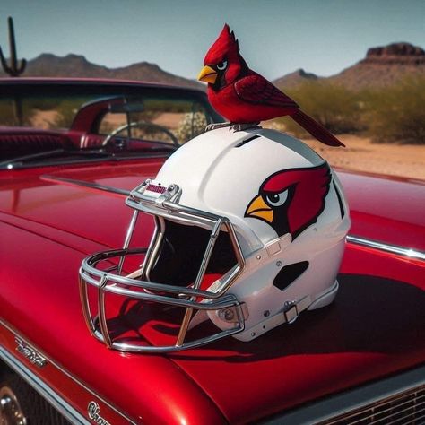 Az Cardinals, Cardinals Football, Arizona Cardinals, Cardinals, Arizona, Hobbies, Football, Quick Saves, American Football