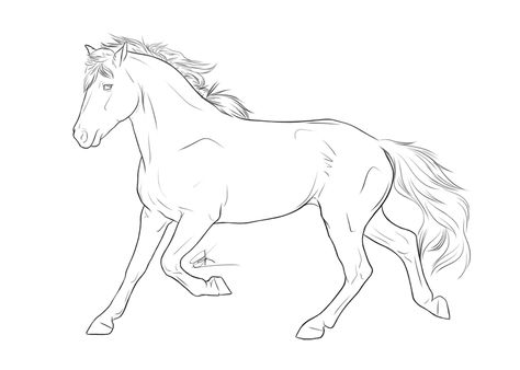 Horse Lineart, Disney Horses, Tattoos Animals, Image Rock, Horse Art Drawing, Horse Sketch, Quotes Tattoos, Animals Design, Horse Coloring Pages