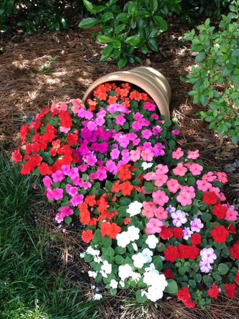 Spilling out Flowers In A Pot, Garden Centerpiece, Ideas For Garden, Container Gardening Flowers, Beautiful Flowers Garden, Garden Yard Ideas, Front Yard Garden, Centerpiece Ideas, Small Garden Design