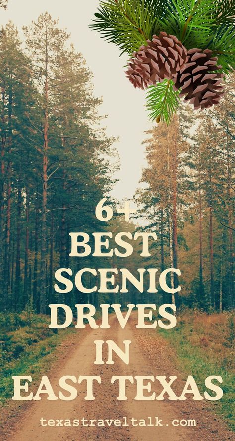 7 Best Scenic Drives In East Texas | Texas Travel Talk East Texas Road Trip, Texas Road Trips, Texas Countryside, Caddo Lake State Park, Fall Foliage Trips, Texas Travel Guide, Vacay Ideas, Texas Destinations, Good Drive