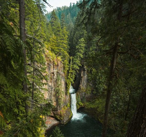 15 best free camping spots in Oregon | Outdoorsy.com Oregon Camping, Horseback Riding Trails, Oregon State Parks, State Park Camping, Pine Mountain, Camping Photography, Bus Life, Forest Road, Free Camping